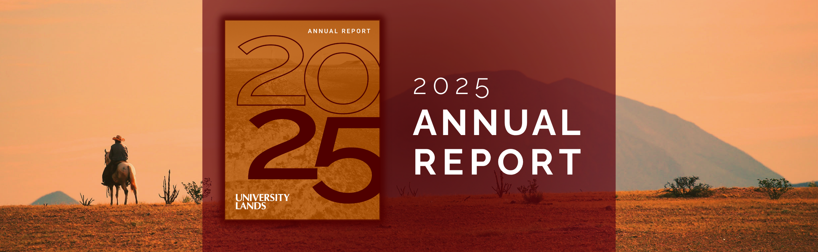 2025 Annual Report cover