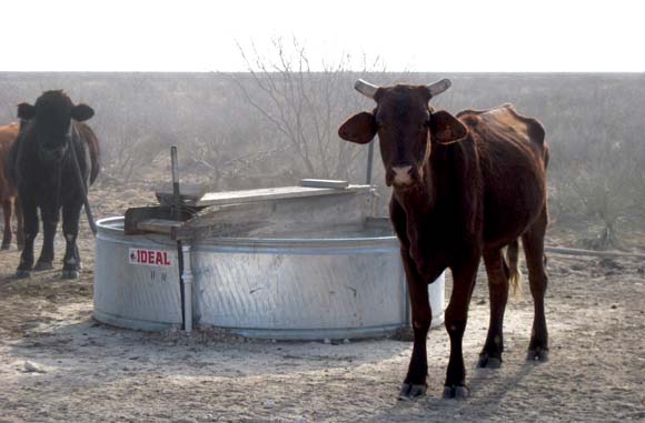 Livestock Waterings